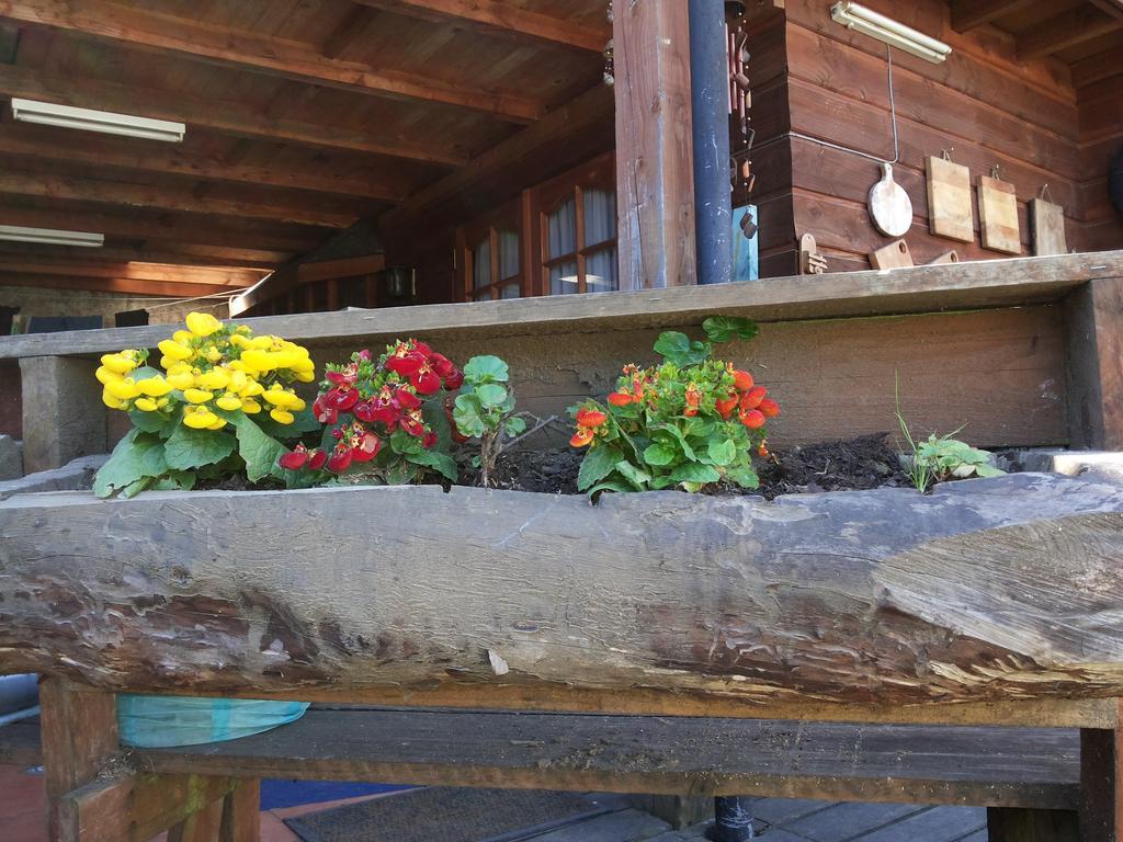 Cabana Ruca Quimey Villarrica Exteriér fotografie